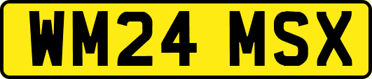 WM24MSX