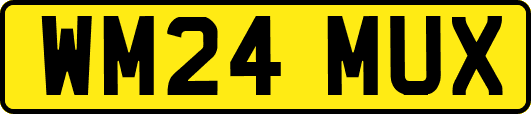 WM24MUX