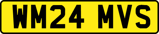 WM24MVS