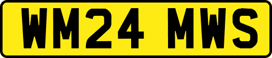 WM24MWS