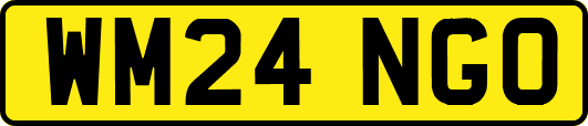 WM24NGO