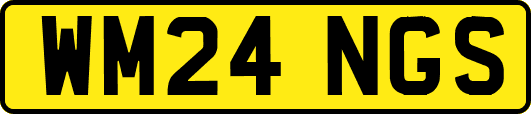 WM24NGS