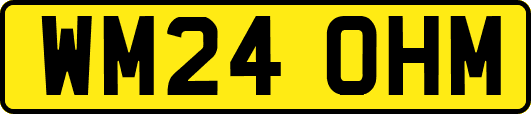 WM24OHM
