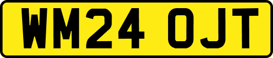 WM24OJT