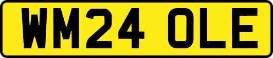 WM24OLE