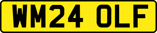 WM24OLF