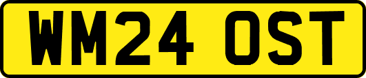 WM24OST