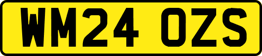 WM24OZS