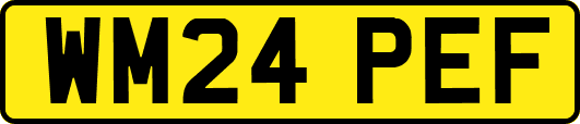 WM24PEF