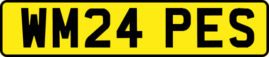 WM24PES