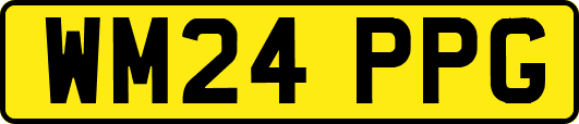 WM24PPG