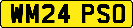 WM24PSO