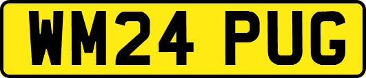 WM24PUG