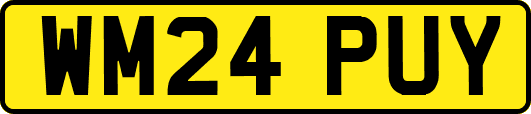 WM24PUY
