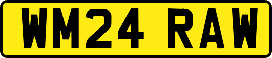 WM24RAW