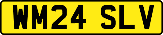 WM24SLV