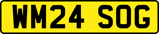 WM24SOG