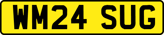 WM24SUG