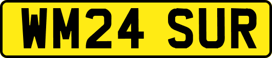WM24SUR