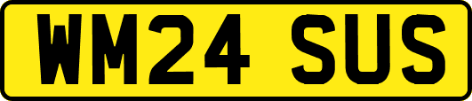 WM24SUS