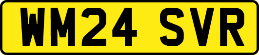 WM24SVR
