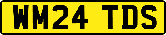 WM24TDS