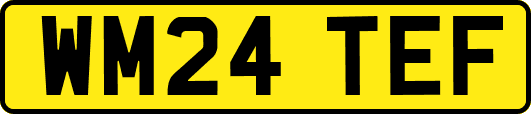 WM24TEF