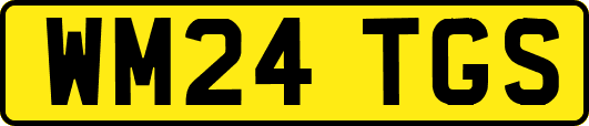 WM24TGS