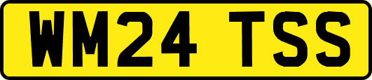 WM24TSS