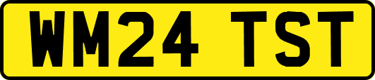 WM24TST