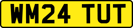 WM24TUT