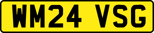 WM24VSG