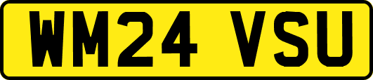WM24VSU
