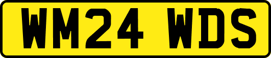 WM24WDS