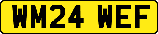 WM24WEF
