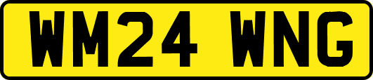 WM24WNG