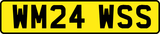 WM24WSS
