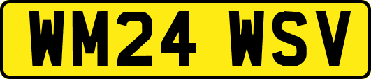 WM24WSV