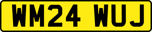 WM24WUJ