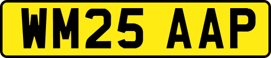 WM25AAP