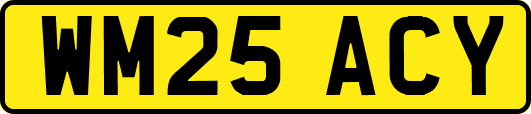 WM25ACY