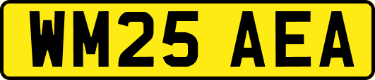 WM25AEA