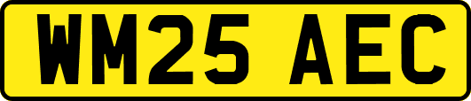 WM25AEC