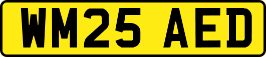 WM25AED