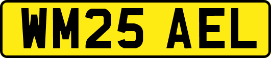 WM25AEL