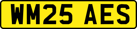 WM25AES