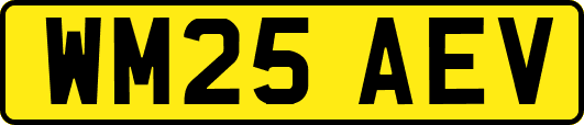 WM25AEV