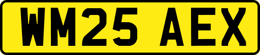 WM25AEX