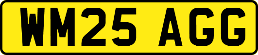 WM25AGG