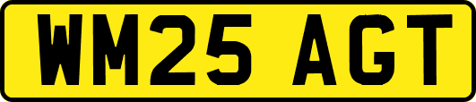 WM25AGT